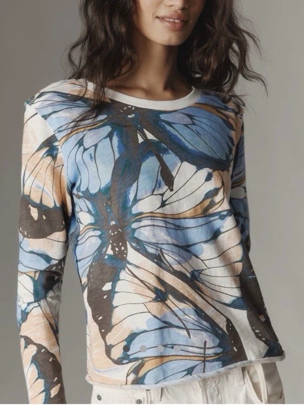 Maeve Anthropologie Caitlin boxy Tee Long Sleeve Butterfly 🦋 Print 2x